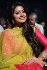 Ulavacharu Biryani Audio Launch